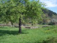 /album/slovenska-lupca-a-podkonice/dscn0835-jpg/
